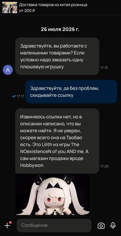 Первый этап: покупатель описывает игрушку и присылает фотографию в чате Avito
