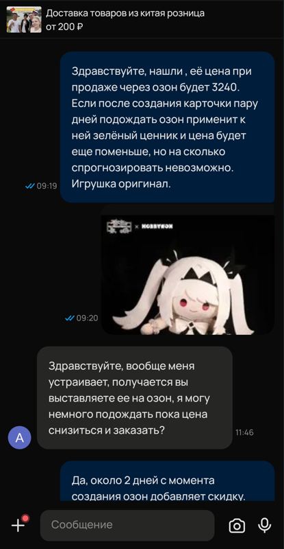 Второй этап: Dragon Shop сообщает, что товар найден, и называет цену 3 240 рублей